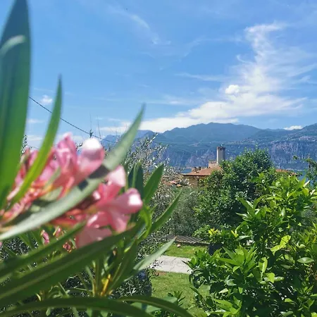 Rosa E Lavanda Malcesine