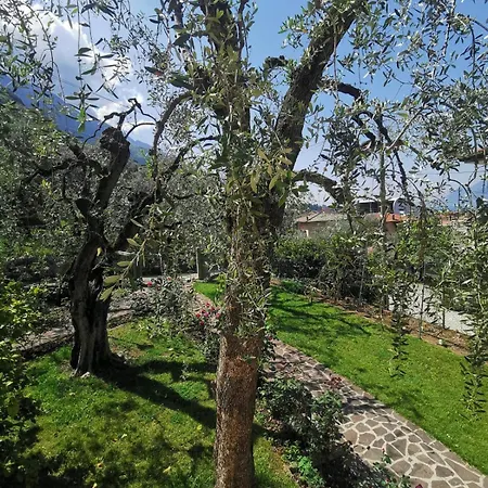Rosa E Lavanda