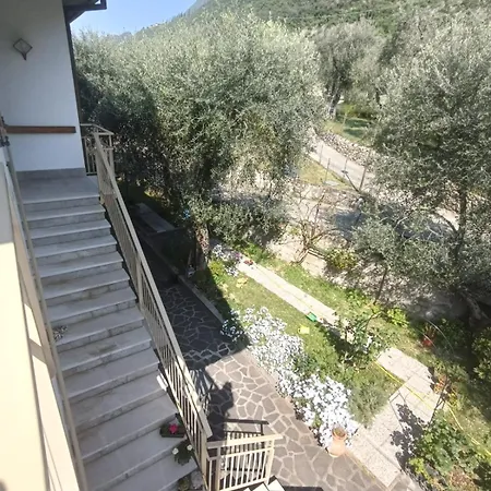 Rosa E Lavanda