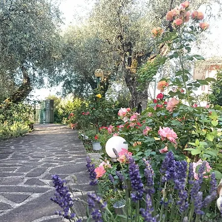 Rosa E Lavanda Malcesine
