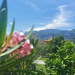 Rosa E Lavanda Malcesine