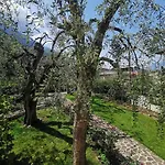 Rosa E Lavanda