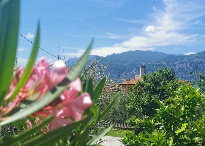 Rosa E Lavanda Malcesine